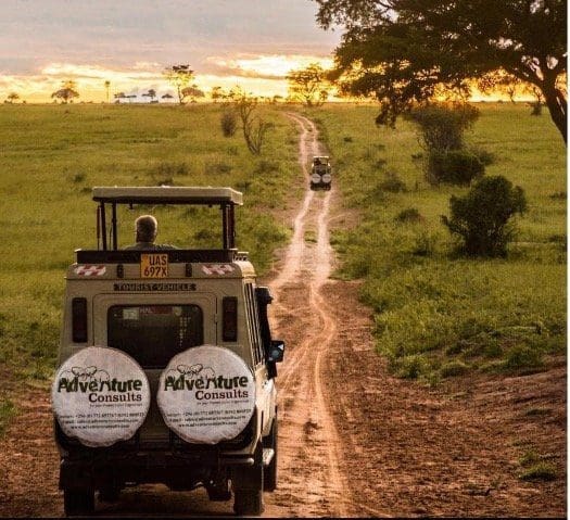 Morning Safari in Uganda's Murchison Falls National Park